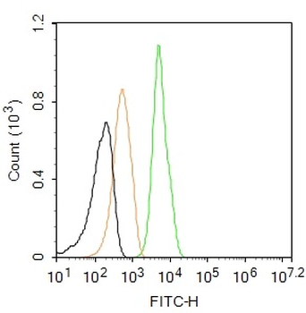 EGFR Mouse Monoclonal Antibody (FITC)