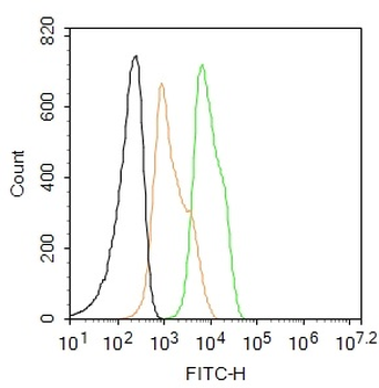 EGFR Mouse Monoclonal Antibody (FITC)