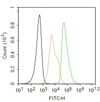 Cyclin B1 Mouse Monoclonal Antibody (FITC)