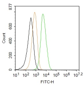 Nurr1 Rabbit pAb, FITC conjugated