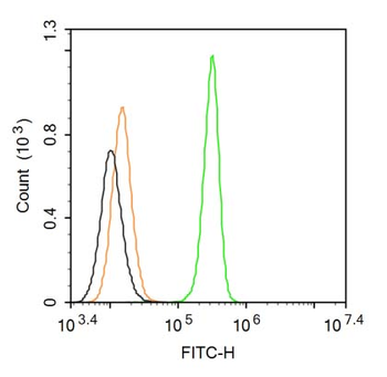 PAX6 Rabbit Polyclonal Antibody (FITC)