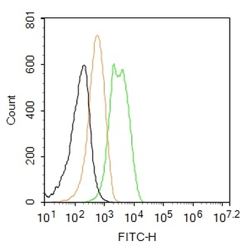 PAX6 Rabbit Polyclonal Antibody (FITC)