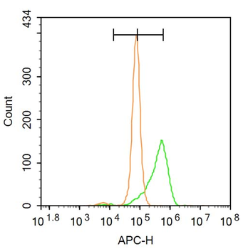 Phospho-Bcl-2 (Ser70) Rabbit Polyclonal Antibody
