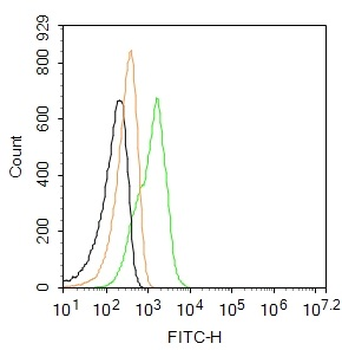 CTLA4 Rabbit Polyclonal Antibody (FITC)