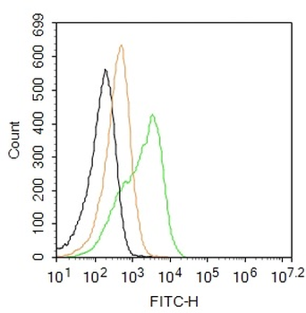 CTLA4 Rabbit Polyclonal Antibody (FITC)