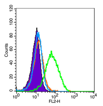 Phospho-Bad (Ser118) Rabbit Polyclonal Antibody