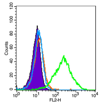 Phospho-Bad (Ser134) Rabbit Polyclonal Antibody