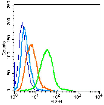 BCMA Rabbit Polyclonal Antibody
