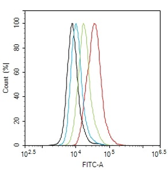 Phospho-Smad3 (Ser204) Rabbit Polyclonal Antibody