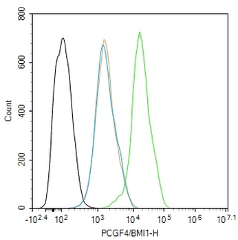 PCGF4/BMI1 Rabbit Polyclonal Antibody