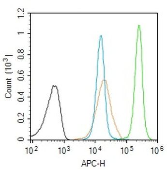 Phospho-RAD51 (Thr309) Rabbit Polyclonal Antibody