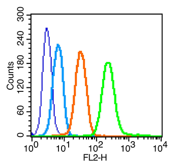 Phospho-c-Kit (Tyr703) Rabbit Polyclonal Antibody