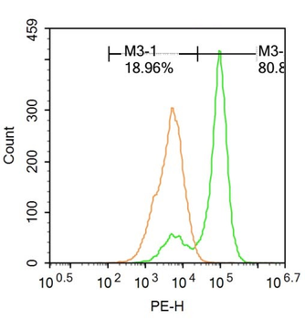Phospho-c-Kit (Tyr721) Rabbit Polyclonal Antibody