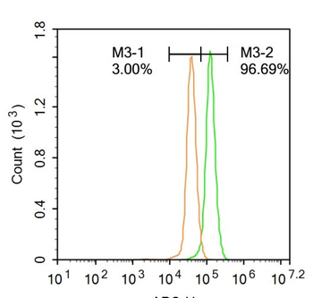 MST1R Rabbit Polyclonal Antibody