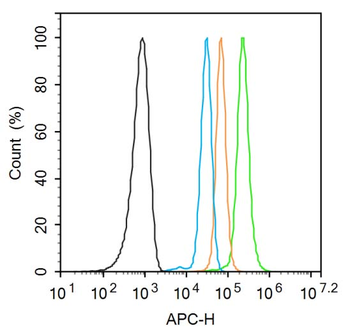 MST1R Rabbit Polyclonal Antibody