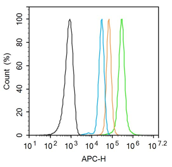 Phospho-Ron (Ser1349) Rabbit Polyclonal Antibody