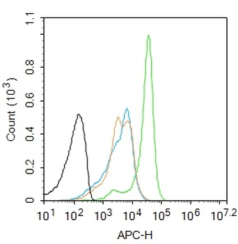 Selenium Binding Protein 1 Rabbit Polyclonal Antibody