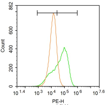 Phospho-CD244 (Tyr271) Rabbit Polyclonal Antibody