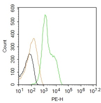 CX3CR1 Rabbit Polyclonal Antibody (PE)