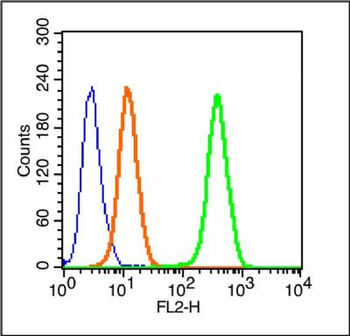 Cytokeratin 1 Rabbit Polyclonal Antibody (PE)