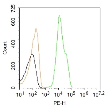 RAGE Rabbit Polyclonal Antibody (PE)