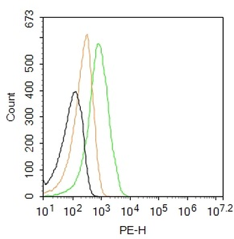 SOCS3 Rabbit Polyclonal Antibody (PE)