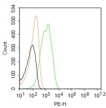 SOCS3 Rabbit Polyclonal Antibody (PE)