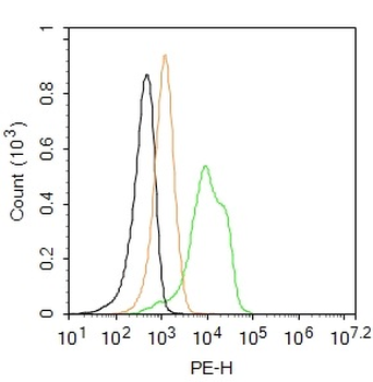 SOCS3 Rabbit Polyclonal Antibody (PE)