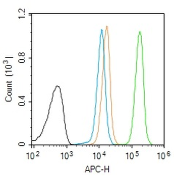 Phospho-Cofilin (Tyr140) Rabbit Polyclonal Antibody