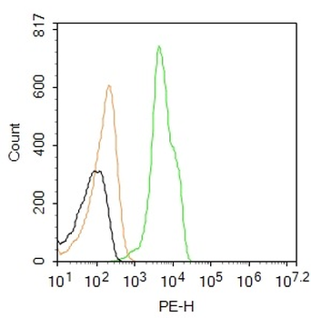 ADRB2 Rabbit Polyclonal Antibody (PE)