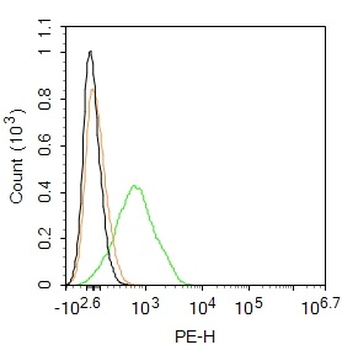 CCR7 Rabbit Polyclonal Antibody (PE)