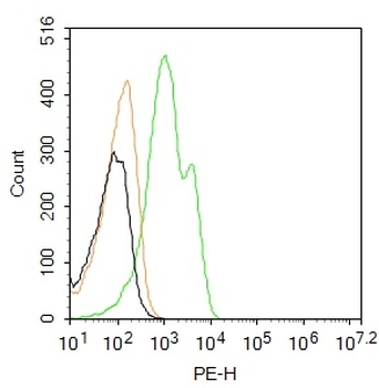 CK18 Rabbit Polyclonal Antibody (PE)