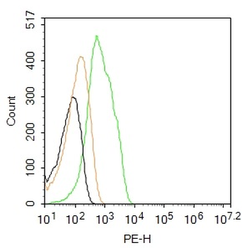 GLI1 Rabbit Polyclonal Antibody (PE)
