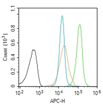 SMN1 Rabbit Polyclonal Antibody