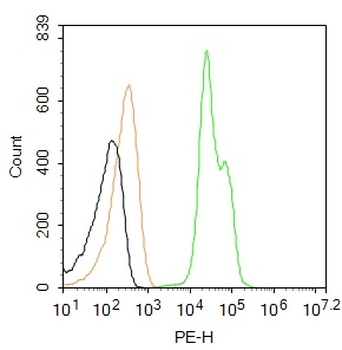 C-Kit/CD117 Rabbit Polyclonal Antibody (PE)