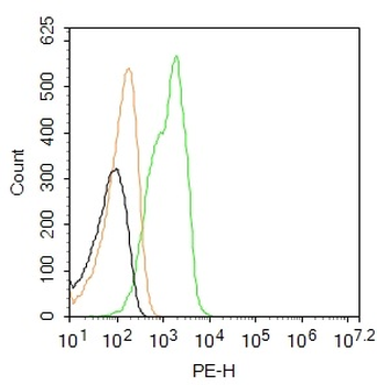 CLDN1 Rabbit Polyclonal Antibody (PE)