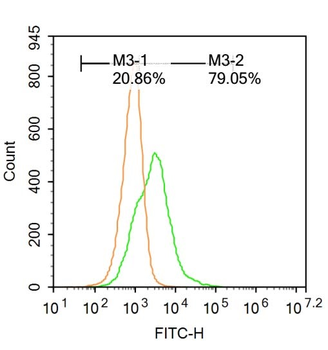 CNR2 Rabbit Polyclonal Antibody (PE)