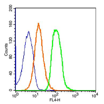 ZO-1/TJP1 Rabbit Polyclonal Antibody
