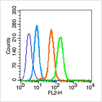 SOD2 Rabbit Polyclonal Antibody