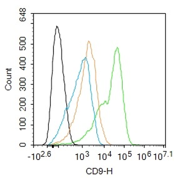 CD9 Rabbit Polyclonal Antibody