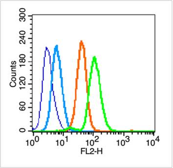 SOCS3 Rabbit Polyclonal Antibody