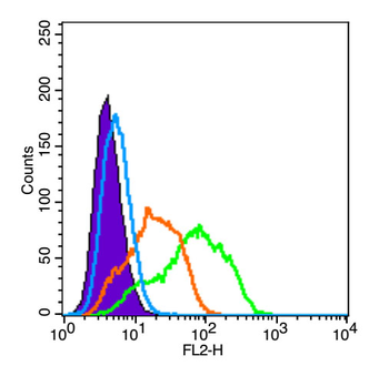 CD163 Rabbit Polyclonal Antibody