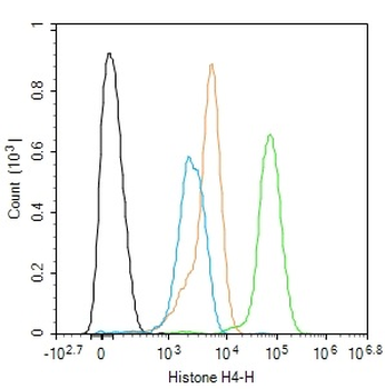 Histone H4 Rabbit Polyclonal Antibody