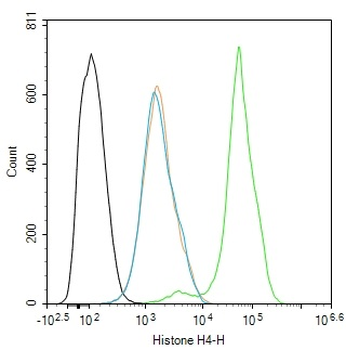 Histone H4 Rabbit Polyclonal Antibody