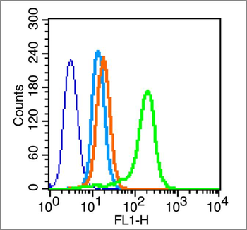 CXCL2 Rabbit Polyclonal Antibody