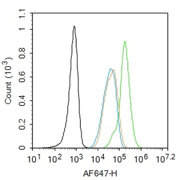 PARP1 Rabbit Polyclonal Antibody
