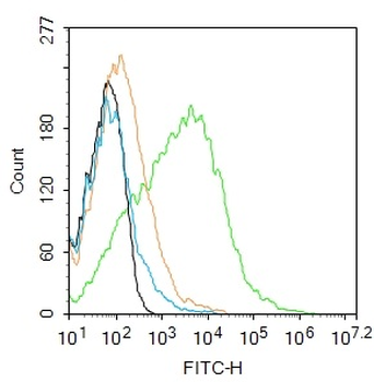CD90/Thy-1 Rabbit Polyclonal Antibody