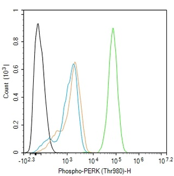 Phospho-PERK (Thr982) Rabbit Polyclonal Antibody