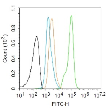 Phospho-STAT3 (Ser727) Recombinant Rabbit Monoclonal Antibody