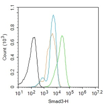 Smad3 Recombinant Rabbit Monoclonal Antibody